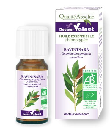 Ravintsara