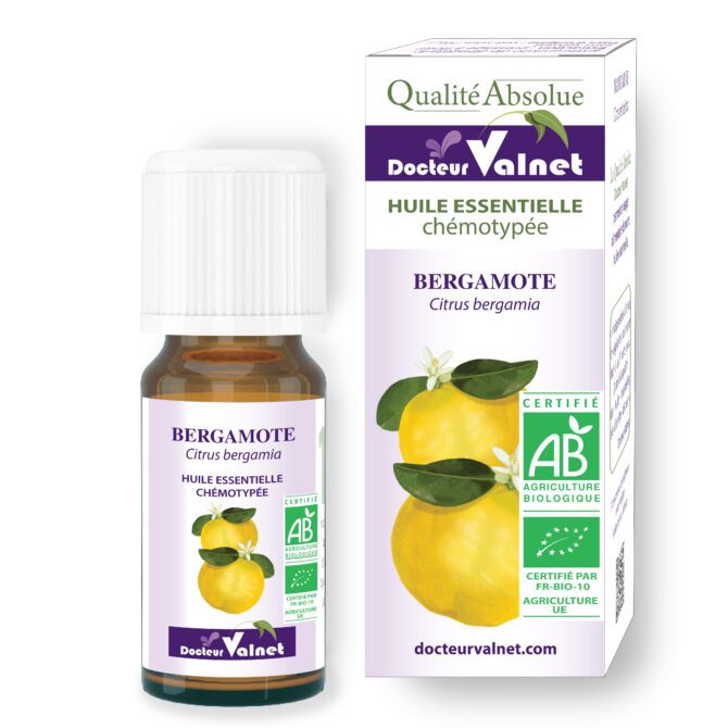 Bergamote