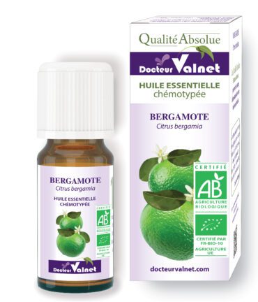 Bergamote