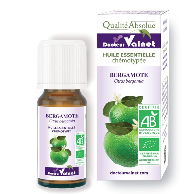 Bergamote