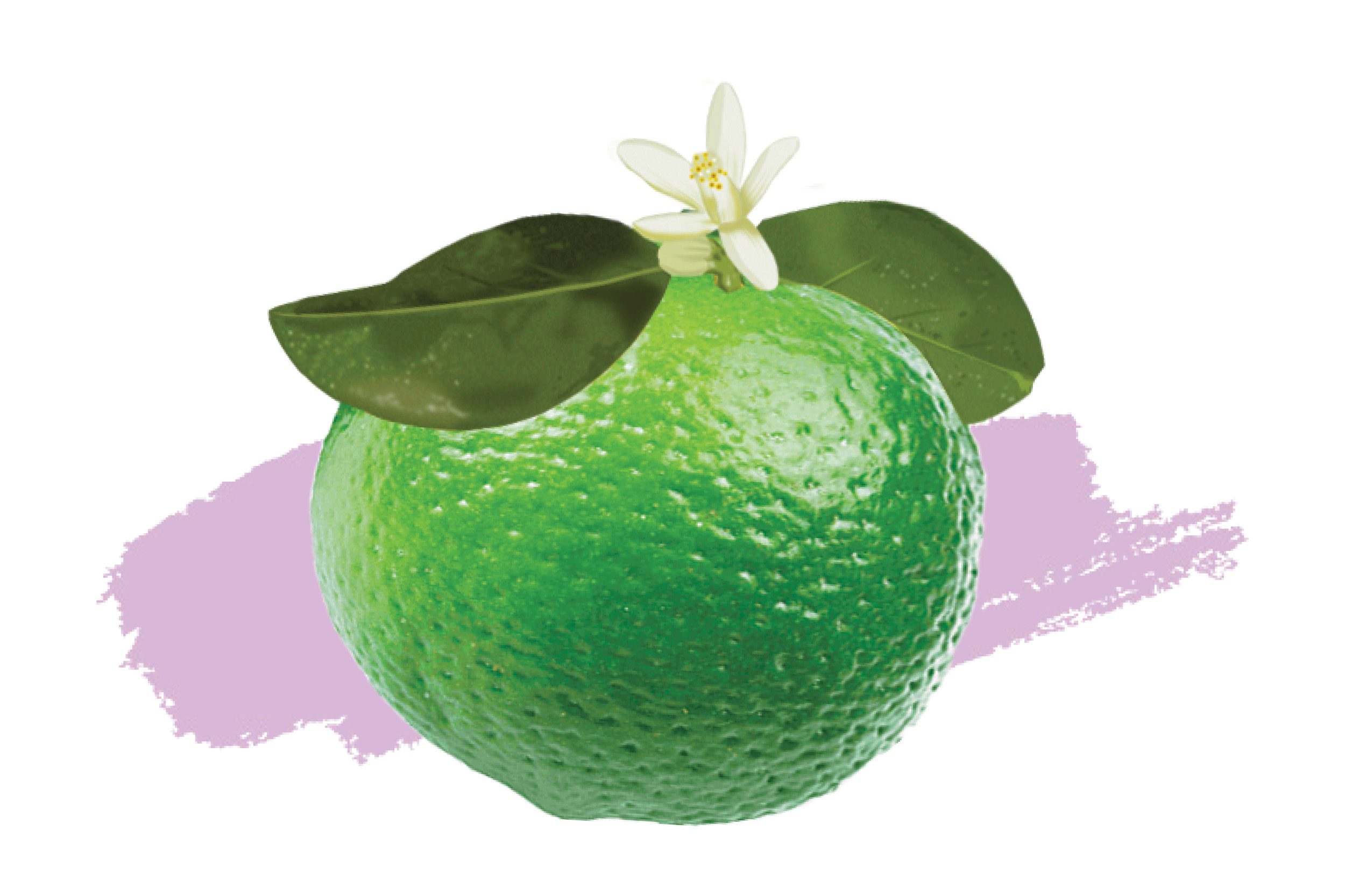 Bergamote