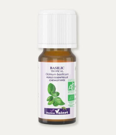 Flacon 10 ml d'huile essentielle de basilic tropical. Certifiée label AB, Agriculture Biologique.