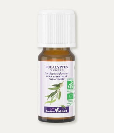 Flacon 10 ml d'huile essentielle d'eucalyptus globulus. Certifiée label AB, Agriculture Biologique.