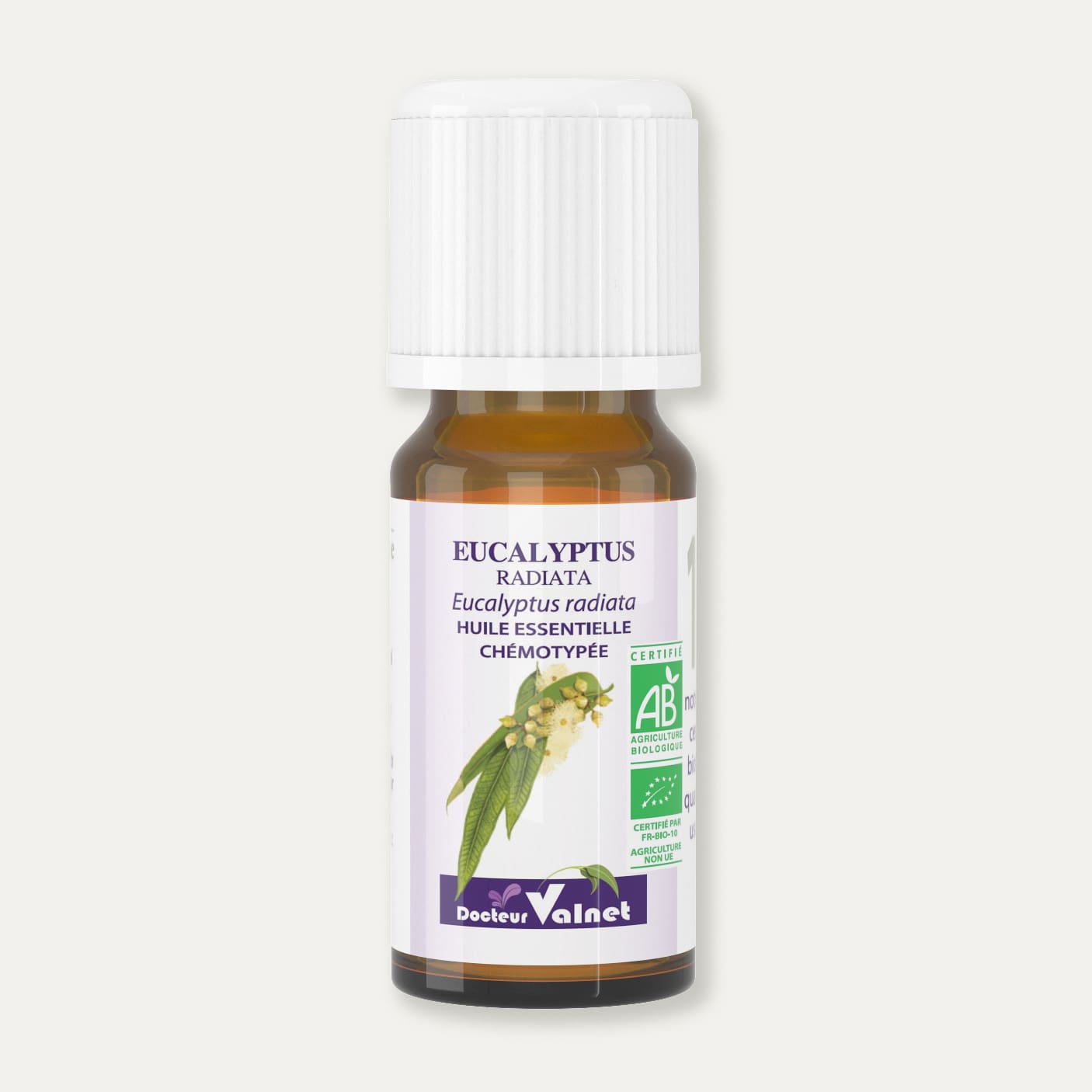 Eucalyptus radiata