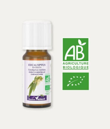 Huile essentielle d'eucalyptus radiata 100% BIO, certifiée label AB, Agriculture Biologique.