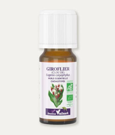 Flacon 10 ml d'huile essentielle de giroflier. Certifiée label AB, Agriculture Biologique.