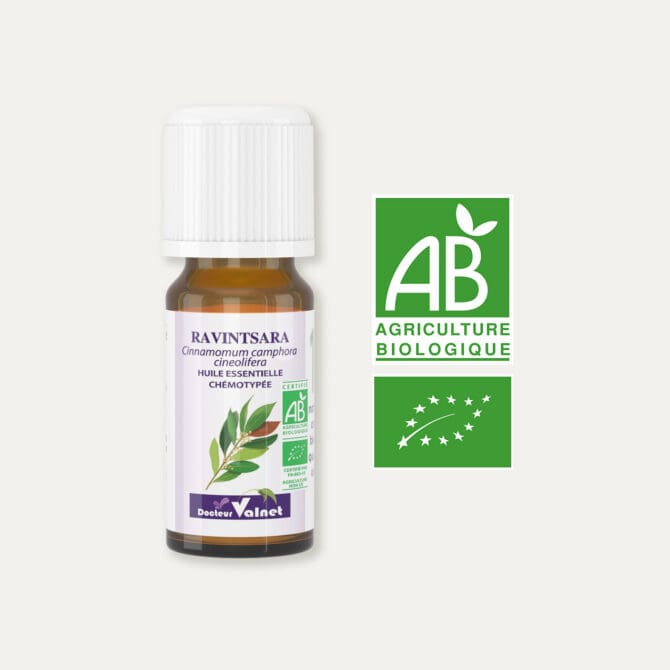 Huile essentielle de ravintsara 100% BIO, certifiée label AB, Agriculture Biologique.