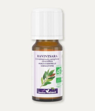 Flacon 10 ml d'huile essentielle de ravinstara. Certifiée label AB, Agriculture Biologique.