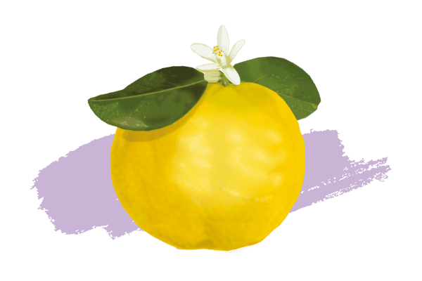 Bergamote