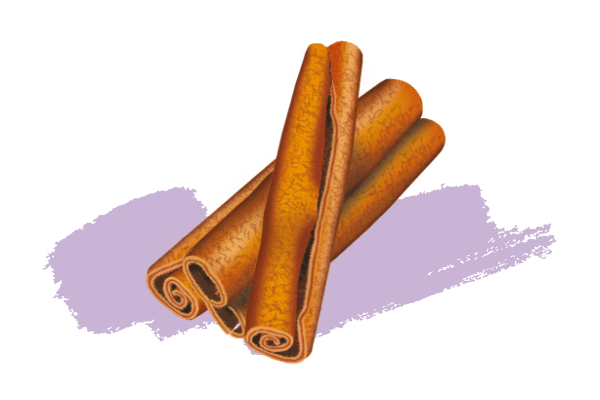Cannelle de Ceylan