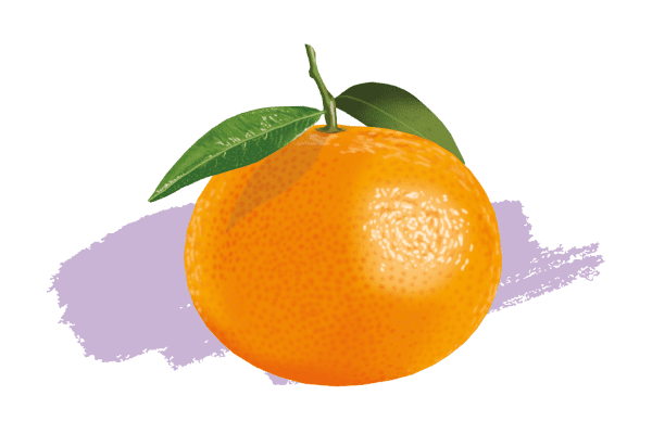 Mandarine