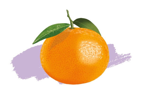 La mandarine, ou « fruit du fonctionnaire »