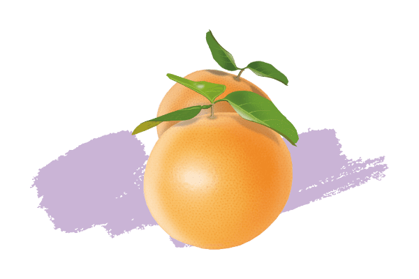 Pamplemousse
