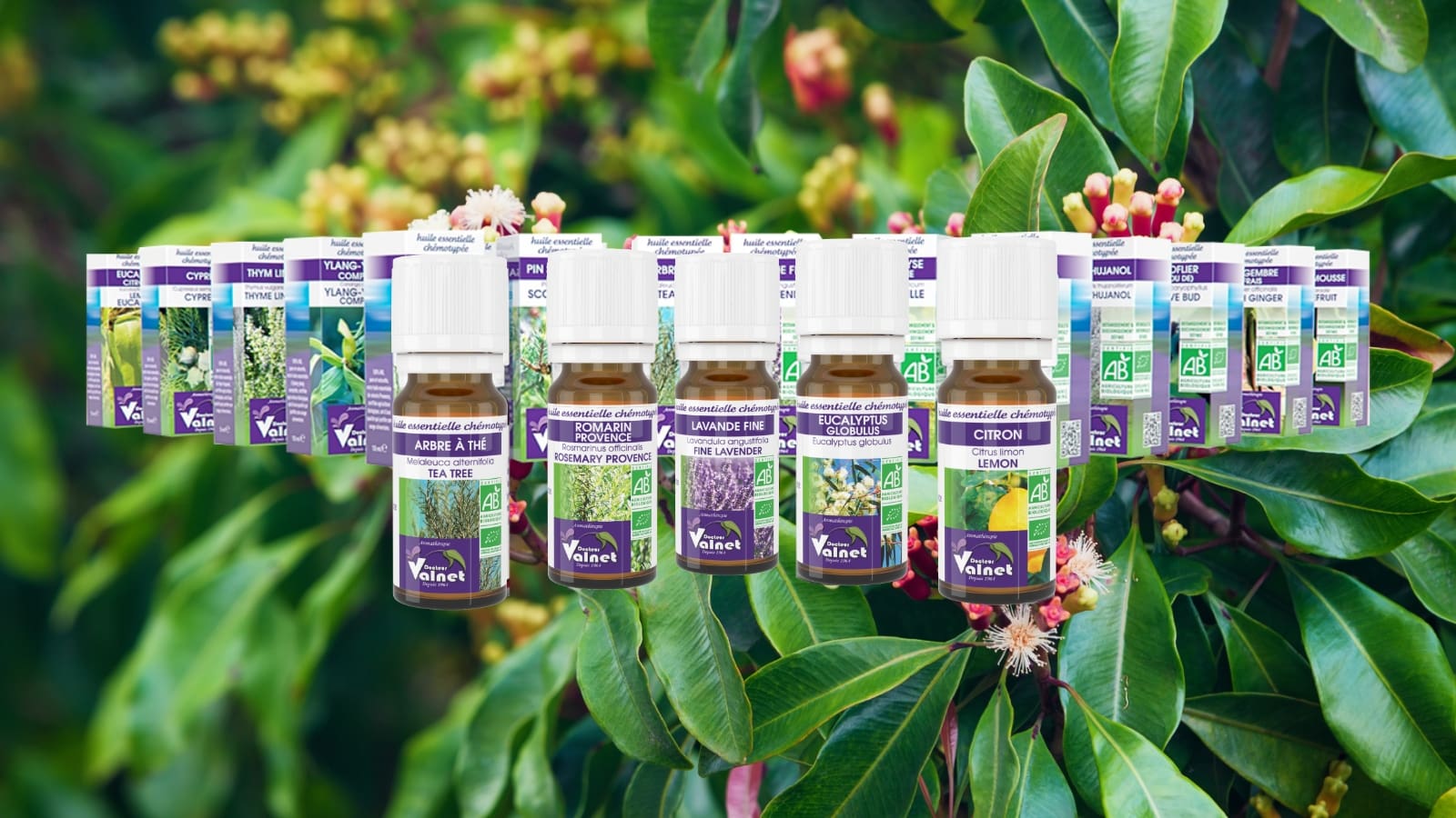 50 huiles essentielles Docteur Valnet, chémotypée, 100% pures, entières, naturelles, certifiées issues de l'agriculture biologique