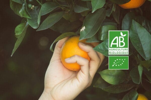 Logo agriculture biologique