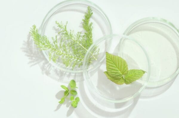 Aromatogramme
