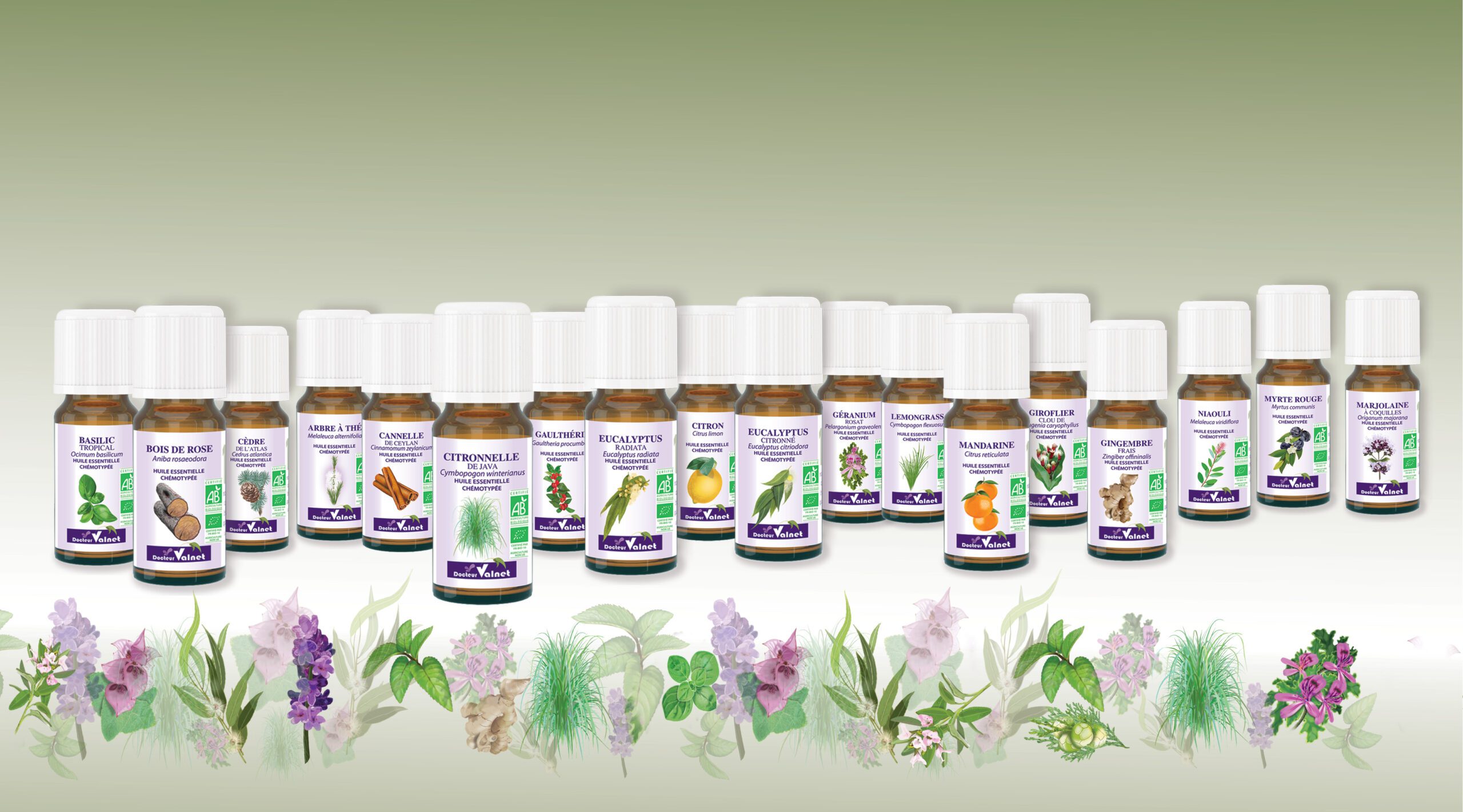 Dr Valnet : huiles essentielles 100% bio, certifiées AB