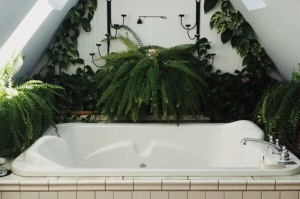 Affiner sa silhouette avec les bains aux algues et aux huiles essentielles